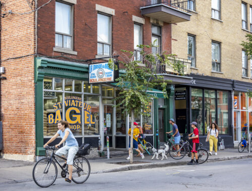 Bagel St-Viateur Plateau Montroyal Été 2024